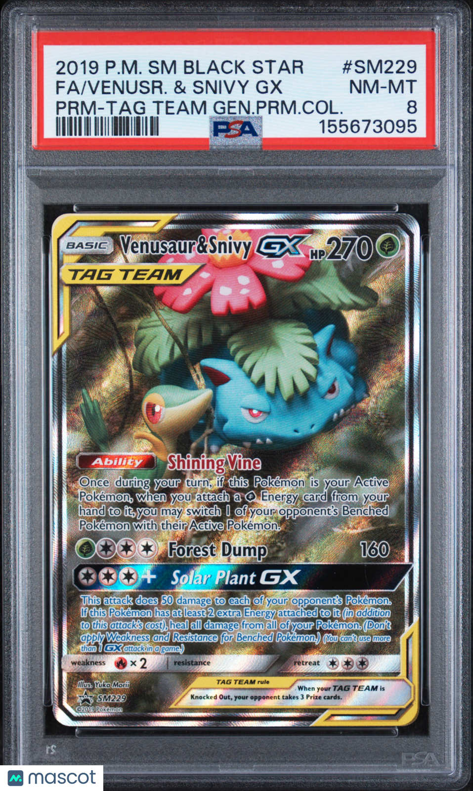 2019 Pokemon SM Black Star Promo Venusaur Snivy GX TAG Team Fa PSA 8 #SM229