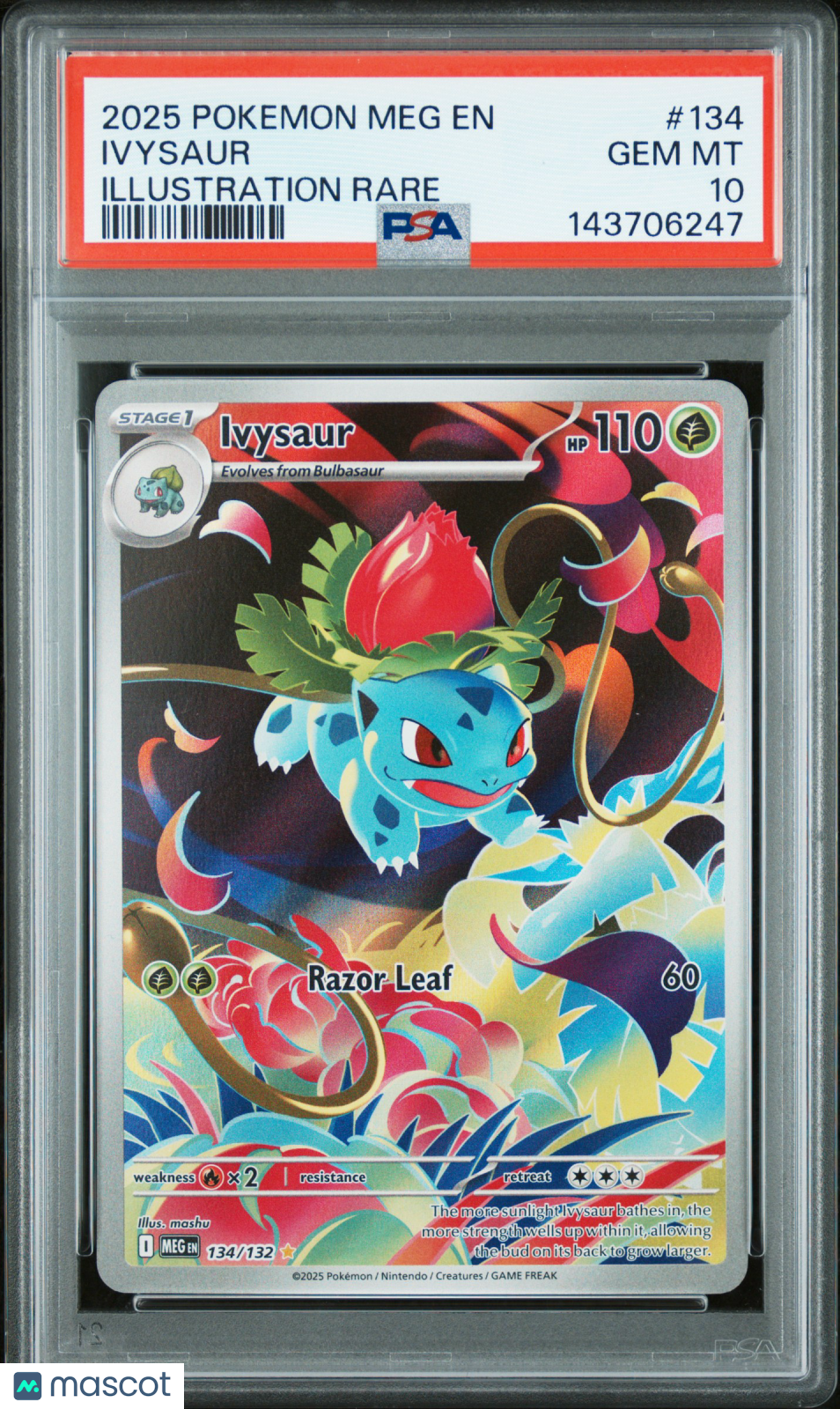 2025 Pokemon EN-Mega Evolution Ivysaur Illustration Rare PSA 10 #134 Gem Mint
