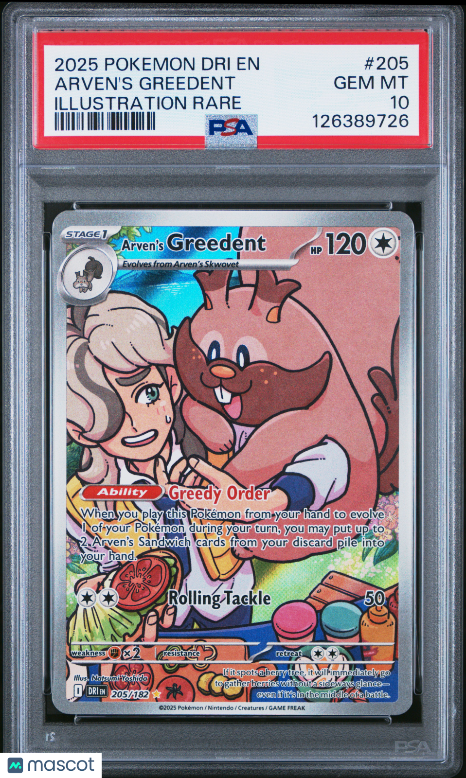 2025 Pokemon Dri EN-Destined Rivals Arven's Greedent #205 Illust Rare PSA 10 Gem